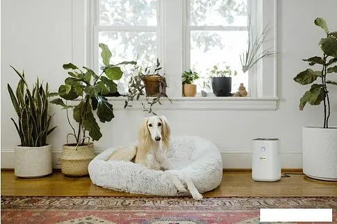 Очиститель воздуха Karcher AF 20 1.024-820.0