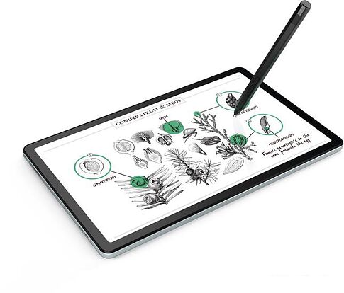 Планшет Lenovo Tab M10 Plus 3rd Gen TB125FU 4GB/64GB (серый)