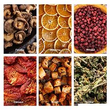 Сушилка для овощей и фруктов Kitfort KT-1919