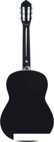 Акустическая гитара Veston 4/4 C-50A SP/N