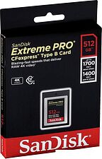 Карта памяти SanDisk Extreme Pro CFexpress Type B SDCFE-512G-GN4NN 512GB Карта памяти SanDisk Extreme Pro CFexpress Type B SDCFE-512G-GN4NN 512GB
