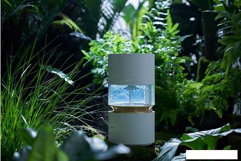 Увлажнитель воздуха SmartMi Humidifier Rainforest CJJSQ06ZM (международная версия)