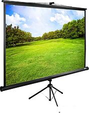 Проекционный экран CACTUS TriExpert 220x220 CS-PSTE-220х220-BK Проекционный экран CACTUS TriExpert 220x220 CS-PSTE-220х220-BK