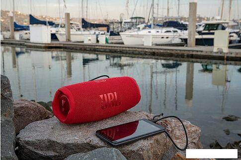 Беспроводная колонка JBL Charge 5 (розовый)