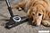Пылесос Miele Complete C3 Cat & Dog Flex SGEF5 (оранжевый)