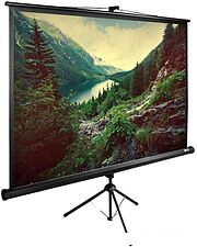 Проекционный экран CACTUS TriExpert 220x220 CS-PSTE-220X220-BK Проекционный экран CACTUS TriExpert 220x220 CS-PSTE-220X220-BK