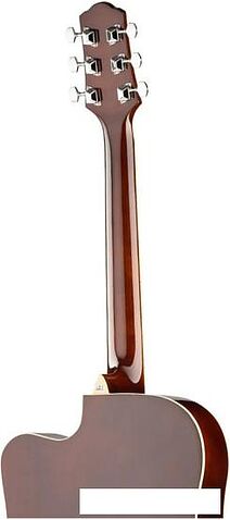 Акустическая гитара Naranda DG120CBS