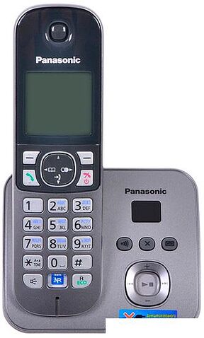 Радиотелефон Panasonic KX-TG6821RUM