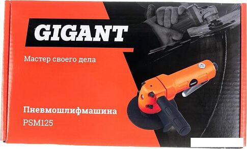 Пневмошлифмашина Gigant PSM125
