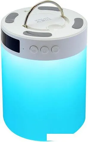 Беспроводная колонка Ginzzu GM-893W