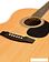 Акустическая гитара Homage LF-3910