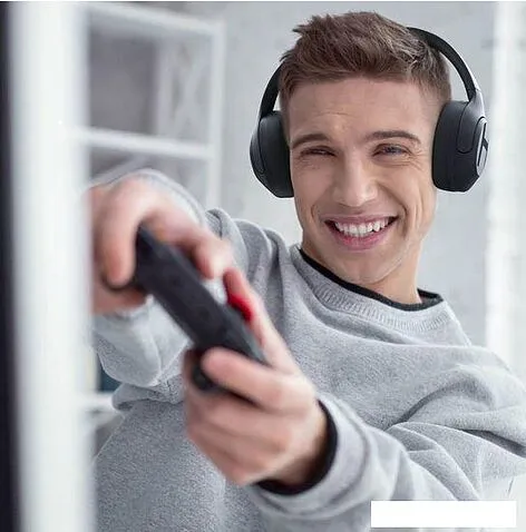 Наушники Haylou S35 ANC (черный)