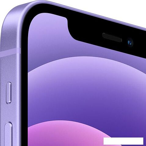 Смартфон Apple iPhone 12 64GB (фиолетовый)