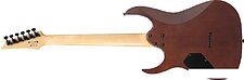 Электрогитара Ibanez GRG121DX WNF