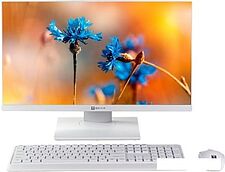 Моноблок ТЕСЛА P24WP 2116500
