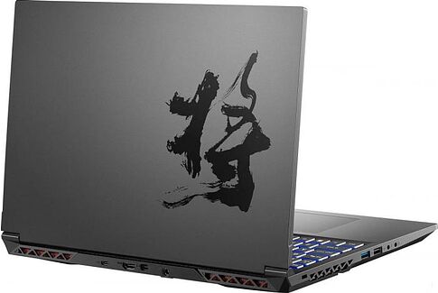 Игровой ноутбук Colorful Evol X17 AT 23H1 A10205400044