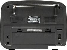 Радиоприемник Ritmix RPR-050 (золотой)