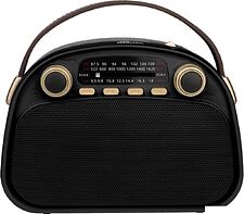 Радиоприемник Ritmix RPR-040 (черный)