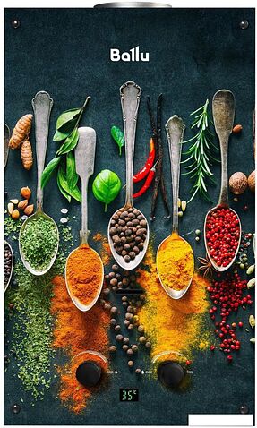 Газовая колонка Ballu GWH 10 Fiery Glass Curry