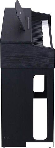 Цифровое пианино Medeli UP82 (черный)