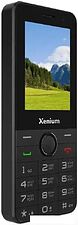 Кнопочный телефон Xenium X900 (черный)