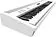 Цифровое пианино Roland FP-60X (белый)