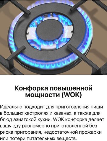 Варочная панель Hansa BHKY61139