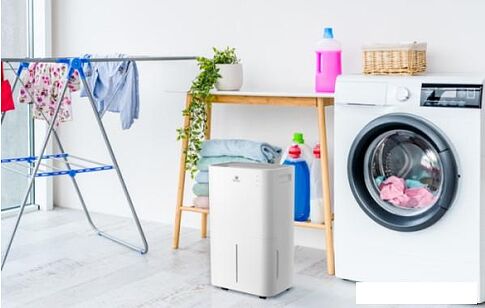 Осушитель воздуха Royal Clima Pacific Loft RD-PC25-E