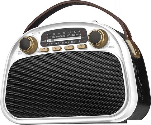 Радиоприемник Ritmix RPR-040 (белый)