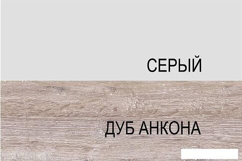 Шкаф напольный Anrex Alesia 1D1S/50-F1 (серый/дуб анкона)