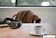 Наушники с микрофоном Plantronics Voyager 8200 UC (черный)