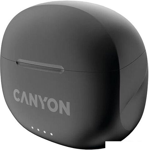 Наушники Canyon TWS-8 (черный)