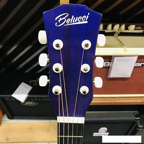 Акустическая гитара Belucci BC3840 1351