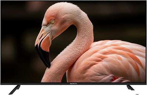Телевизор Topdevice 43" WILDRED TDWC43BF2110V