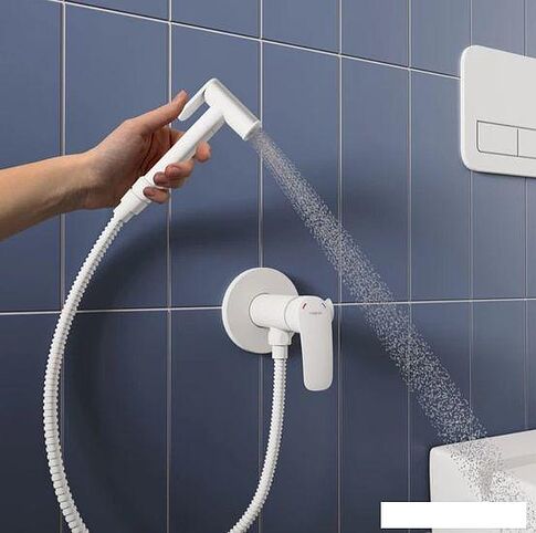 Гигиенический душ Milardo Rora RORWTR0M08