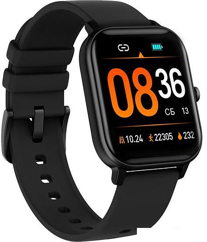 Умные часы SunWind SW30 (черный)