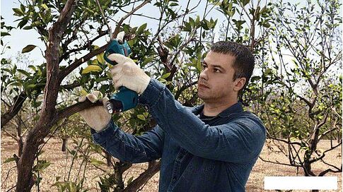 Секатор Bosch Pro Pruner Professional 06019K1021 (с 2-мя АКБ)