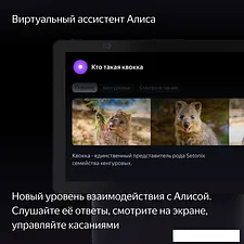 Колонка с умным дисплеем Яндекс Станция Дуо Макс (черный) Колонка с умным дисплеем Яндекс Станция Дуо Макс (черный)