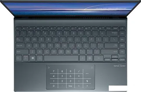 Ноутбук ASUS ZenBook 13 UX325EA-KG908W
