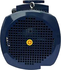 Циркуляционный насос Maxpump F 50-250/220