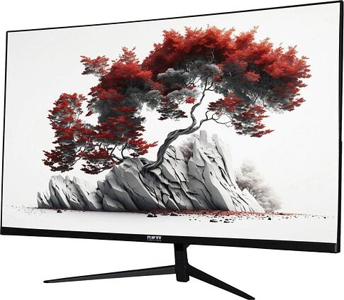 Монитор RDW Computers RDW2701K/Q00B0