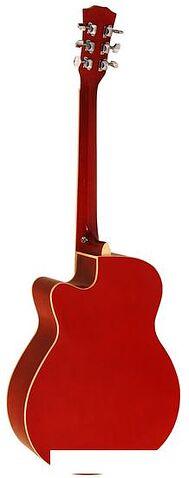 Акустическая гитара Elitaro E4010 RDS