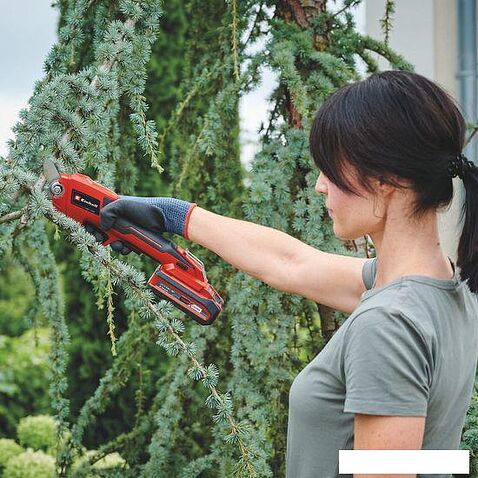 Секатор Einhell GE-LS 18 Li-Solo 3408300