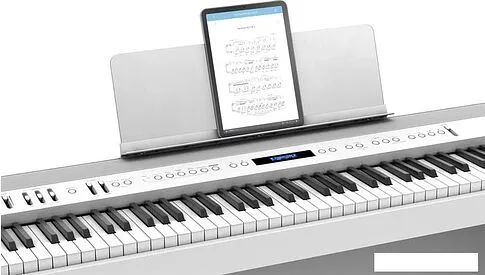 Цифровое пианино Roland FP-60X (белый)