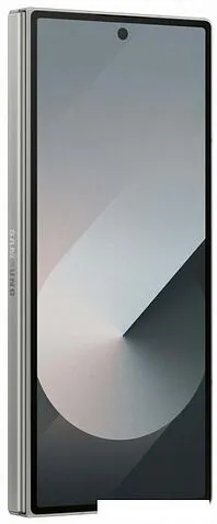 Смартфон Samsung Galaxy Z Fold6 SM-F956B/DS 12GB/256GB (серый)