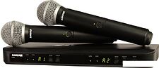 Радиосистема Shure BLX288E/PG58 M17