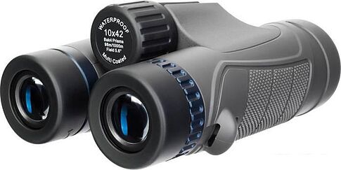 Бинокль Levenhuk Nitro 10x42 (черный)