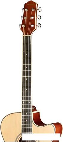 Акустическая гитара Naranda TG220CNA