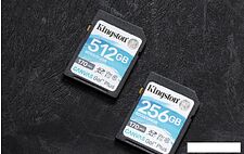 Карта памяти Kingston Canvas Go! Plus SDXC 256GB