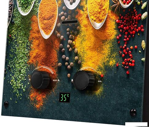 Газовая колонка Ballu GWH 10 Fiery Glass Curry